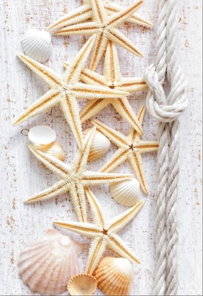 Пластик 3000*250*8мм Морская звезда Декор Харьков-пласт