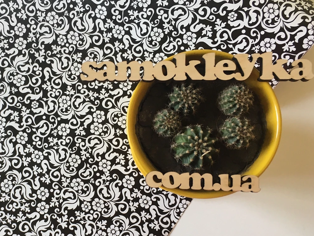 Самоклеюча плівка Patifix 45см х 1м 15-6485 (Чорно-білі квіти)