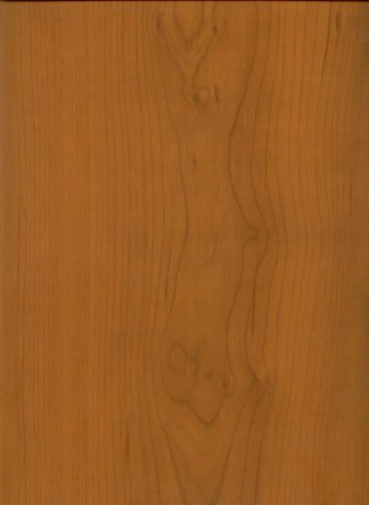 Пластик 3000*200*8мм Ольха глянец Харьков-пласт (вагонка)