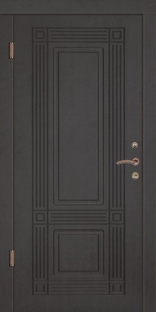 Двері вхідні Портала Економ Plus Метал/ДСП Прем'єр