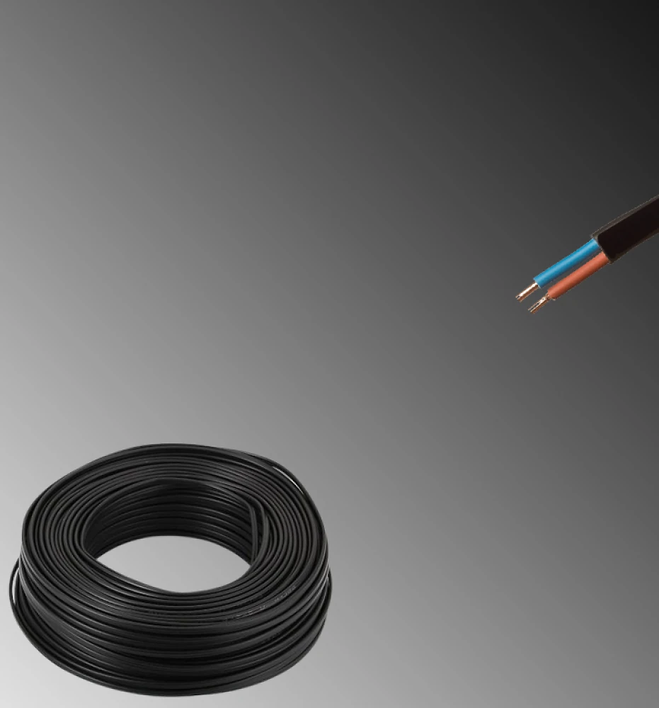 ВВГп нг 2х4,0