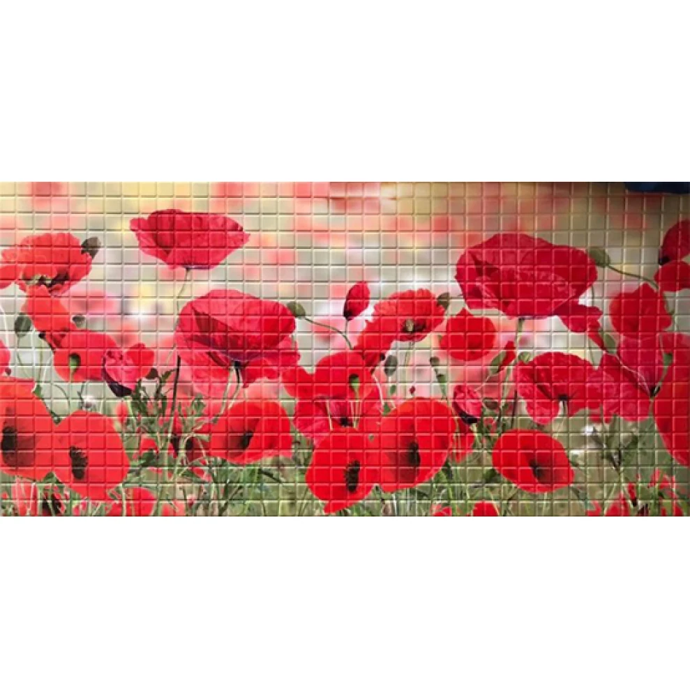 Пластикова Панель Регул Маки 957 * 480мм