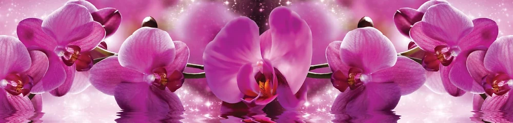 Скинали на кухню Zatarga Пышные розовые орхидеи 600х2500 мм