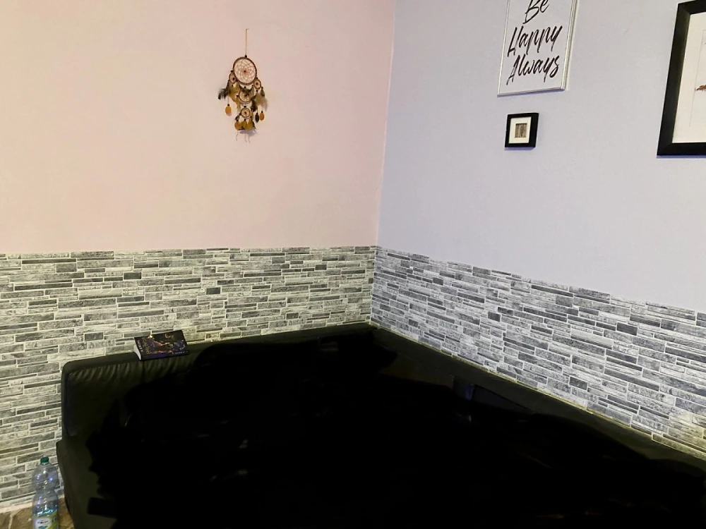 Пластиковая Панель Регул Пластушка черно-белая 977 * 496мм