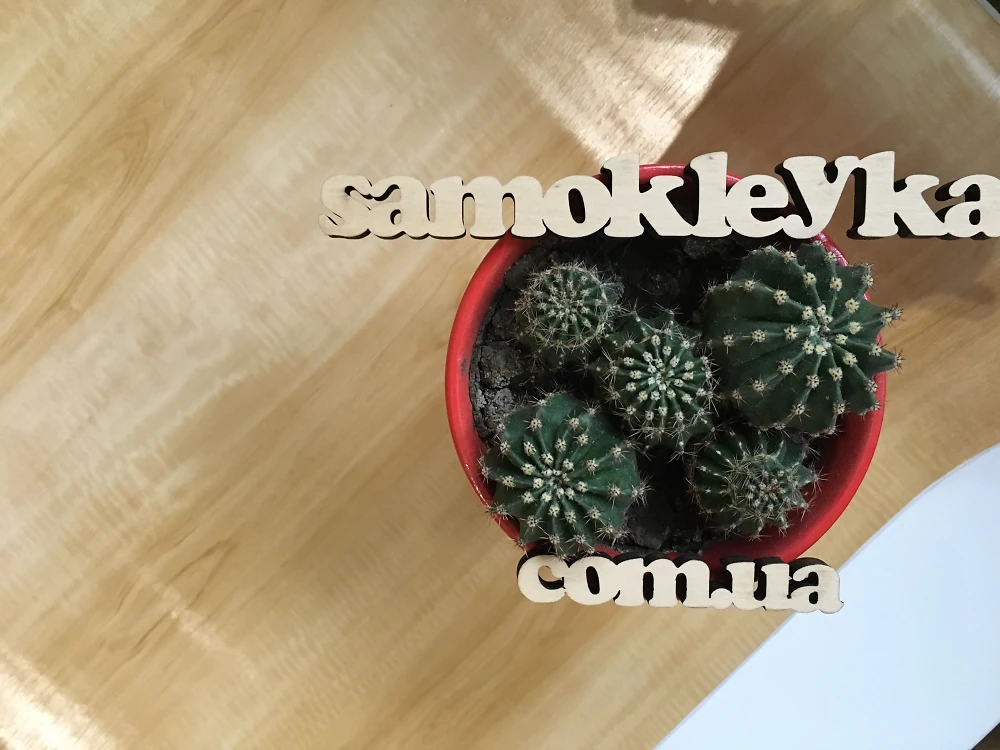 Самоклеюча плівка Hongda 90см х 1м H5009-2