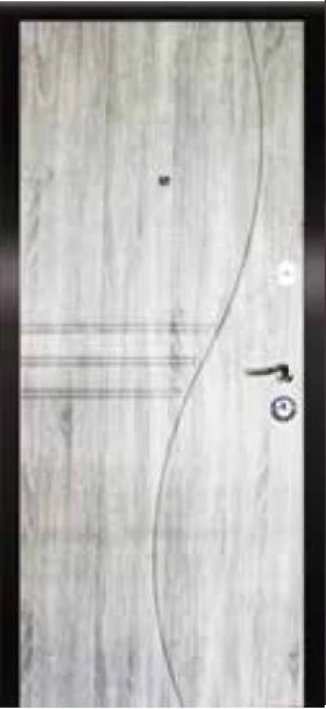 Дверь входная Портала Стандарт Саламандра