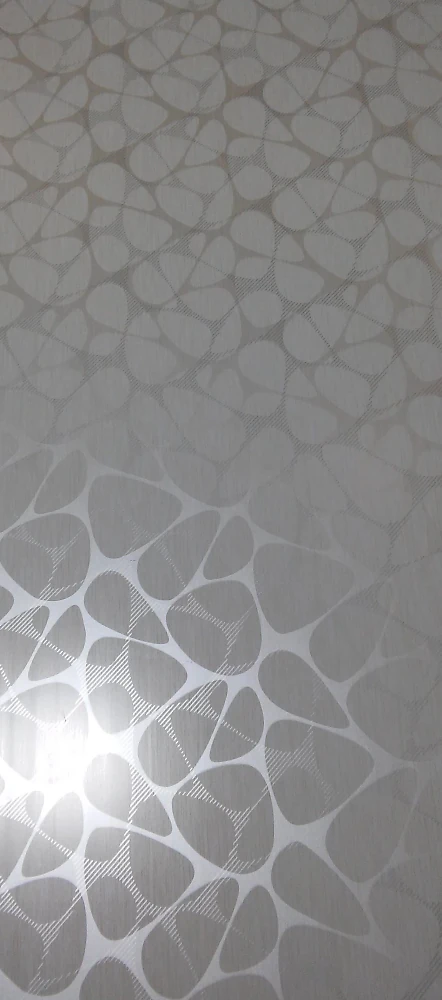 Пластик 3000 * 250 * 8 мм Фьюжн RL 3026 Riko термонанесення