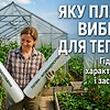 Яку плівку вибрати для теплиці