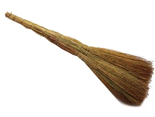 Віник середній Україна